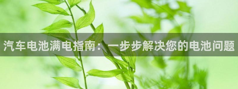 优发国际官方网手机版