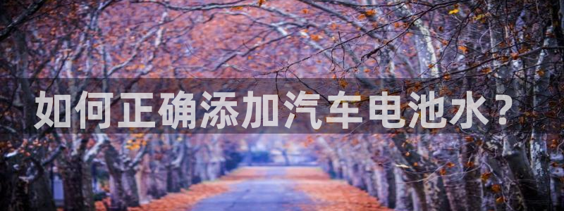 优发国际一首页