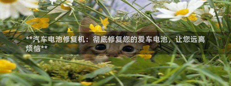 优发国际手机客户端下载不了