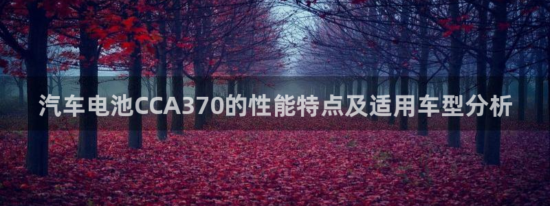 优发国际手机版唯一官网