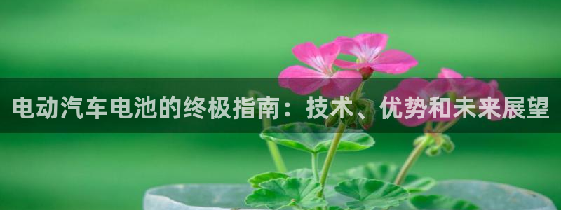 优发国际游戏17岁能玩吗