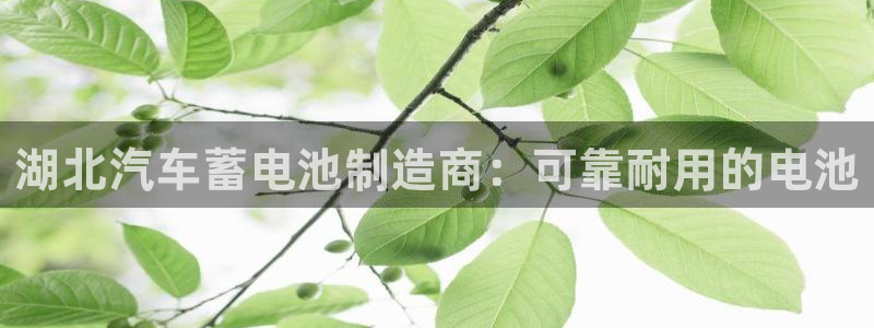 优发国际手机客户端下载安装不了