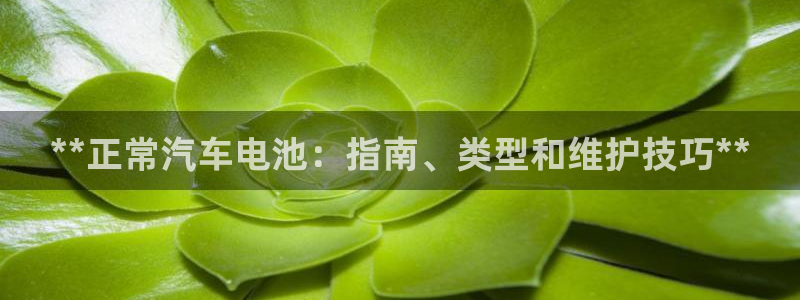 优发国际官网