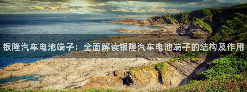 优发国际网官网17k8：银隆汽车电池端子：全面解读银隆汽车电池端子的结构及作用