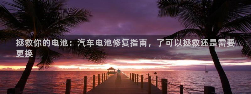 优发国际怎么样：拯救你的电池：汽车电池修复指南，了可以拯救还是需要
更换