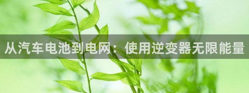 优发国际手机版下载安装