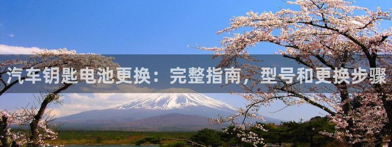 优发国际登陆u：汽车钥匙电池更换：完整指南，型号和更换步骤