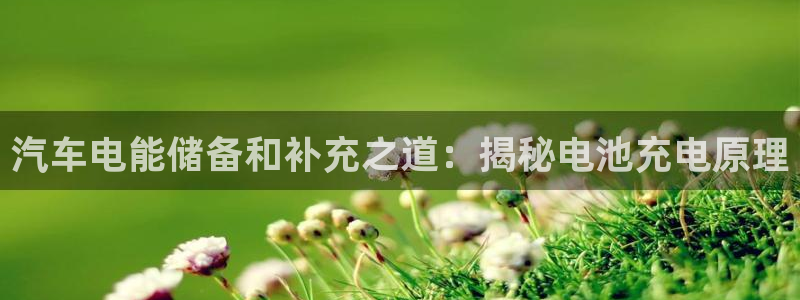 优发国际是大平台吗是真的吗