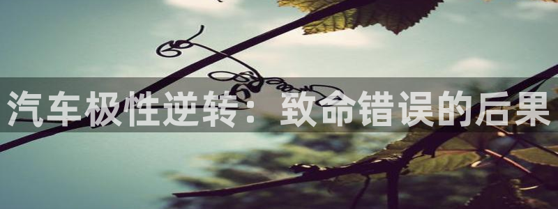优发国际官网下载安装app：汽车极性逆转：致命错误的后果
