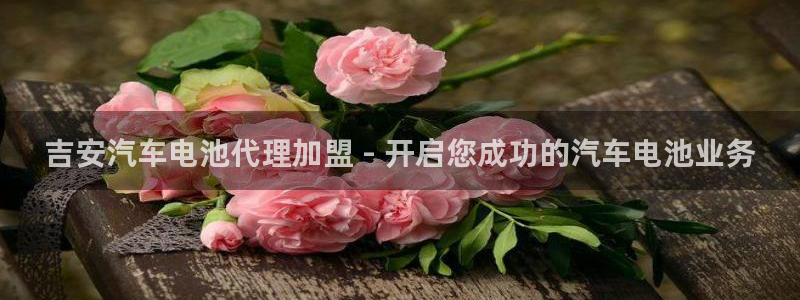 优发国际官网,首页网址：吉安汽车电池代理加盟 - 开启您成功的汽车电池业务