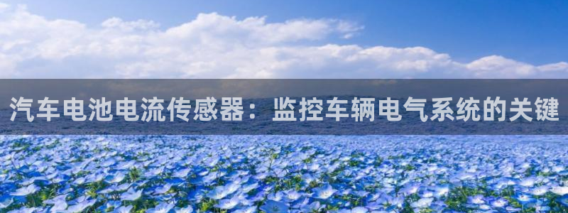 优发国际平台u8是什么软件：汽车电池电流传感器：监控车辆电气系统的关键