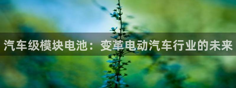 优发国际手机客户端怎么下载