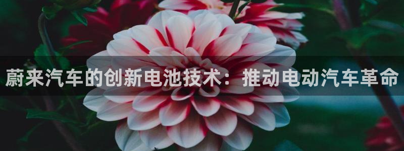 优发国际网站178：蔚来汽车的创新电池技术：推动电动汽车革命