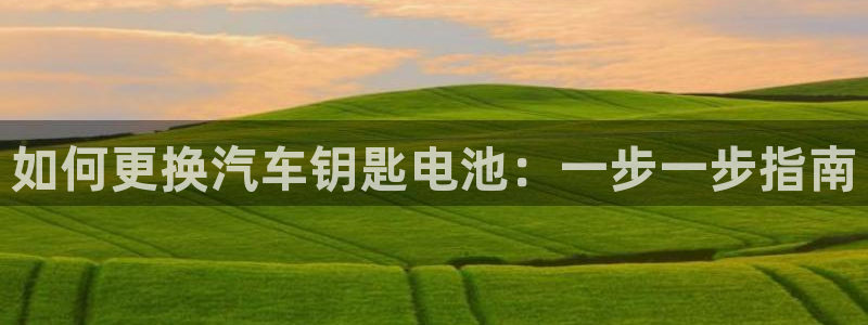优发国际网官网址是多少：如何更换汽车钥匙电池：一步一步指南