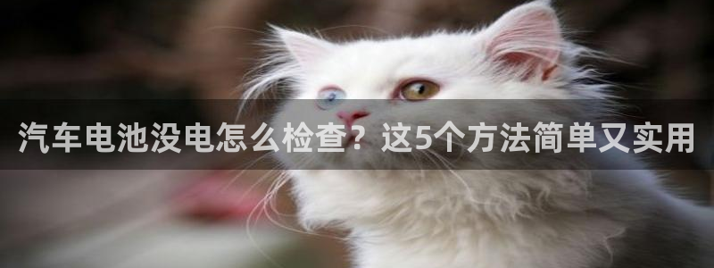 优发国际首页首页y6：汽车电池没电怎么检查？这5个方法简单又实用
