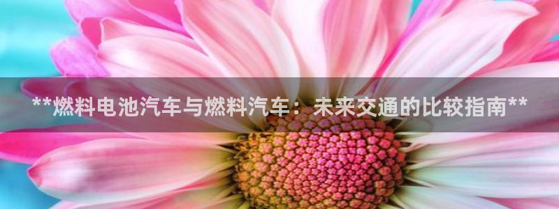 优发国际注册平台怎么样：**燃料电池汽车与燃料汽车：未来交通的比较指南**