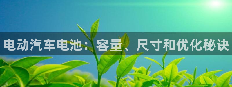 优发国际平台网站：电动汽车电池：容量、尺寸和优化秘诀