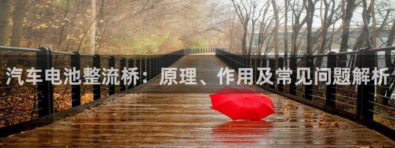 优发国际官网下载苹果版：汽车电池整流桥：原理、作用及常见问题解析
