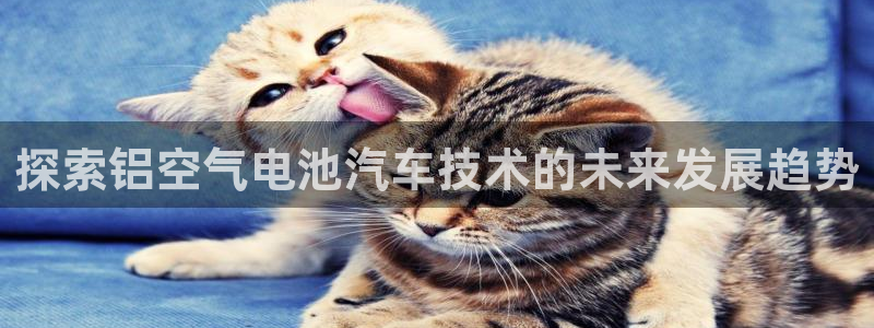 优发国际平台18：探索铝空气电池汽车技术的未来发展趋势