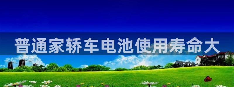 优发国际登录首页官网：普通家轿车电池使用寿命大