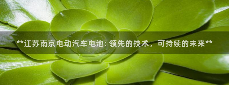 优发国际手机app下载安装官网：**江苏南京电动汽车电池: 领先的技术，可持续的未来**