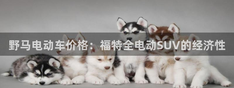 优发国际下载app：野马电动车价格：福特全电动SUV的经济性