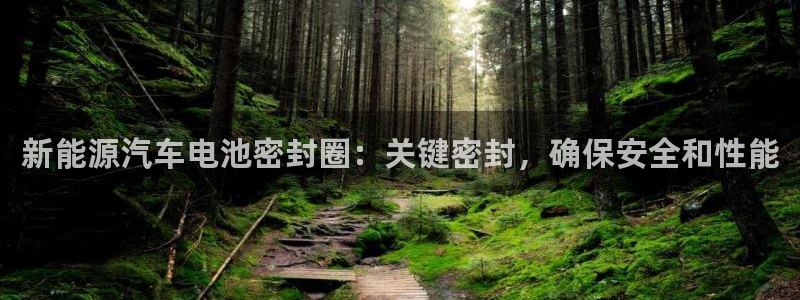 优发国际网官网17w8：新能源汽车电池密封圈：关键密封，确保安全和性能