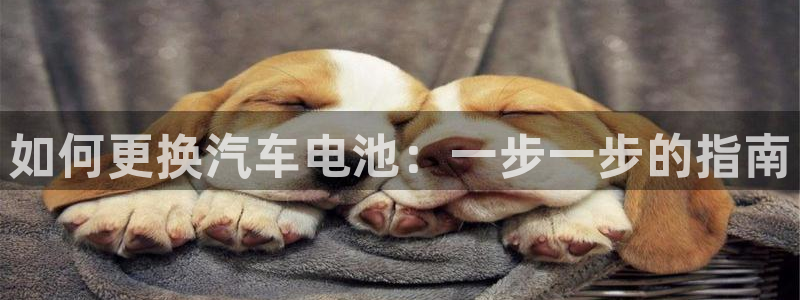优发国际网官网17k8：如何更换汽车电池：一步一步的指南