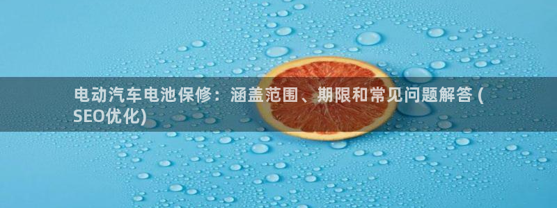 优发国际手机安装登录不了：电动汽车电池保修：涵盖范围、期限和常见问题解答 (
SEO优化)