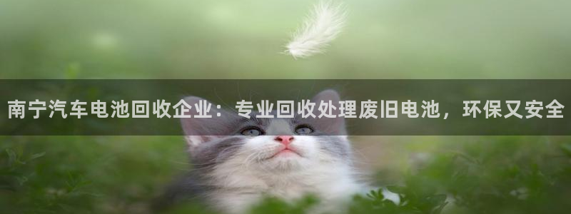 优发国际首页官网：南宁汽车电池回收企业：专业回收处理废旧电池，环保又安全