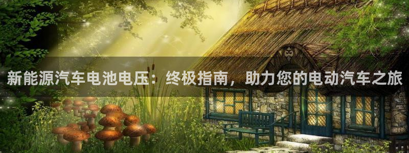 优发国际官网手机版下载苹果：新能源汽车电池电压：终极指南，助力您的电动汽车之旅