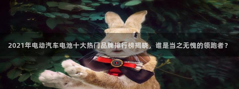 优发国际平台手机版下载：2021年电动汽车电池十大热门品牌排行榜揭晓，谁是当之无愧的领跑者？