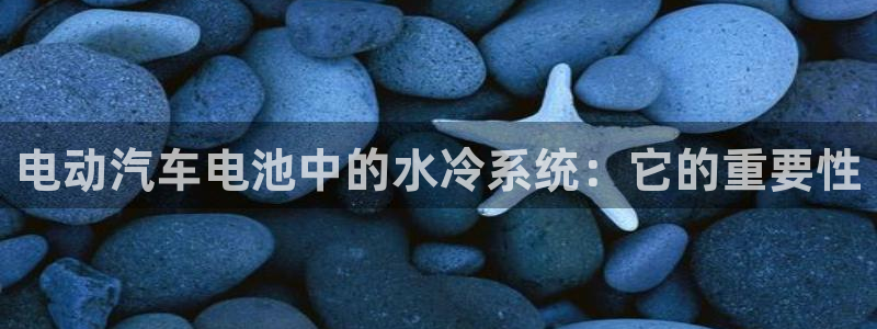 优发国际客服联系方式是什么：电动汽车电池中的水冷系统：它的重要性