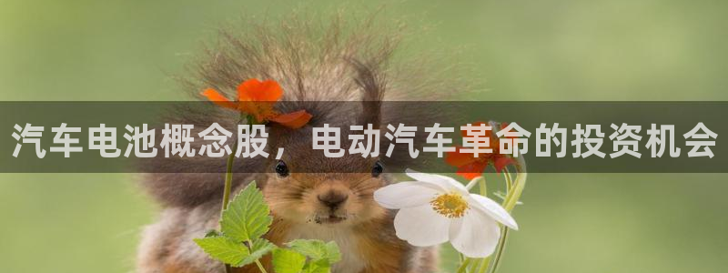 优发国际平台u8：汽车电池概念股，电动汽车革命的投资机会