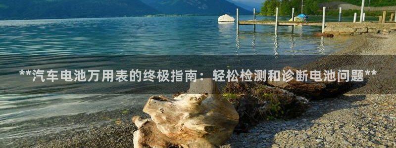 优发国际网官网址是多少：**汽车电池万用表的终极指南：轻松检测和诊断电池问题**