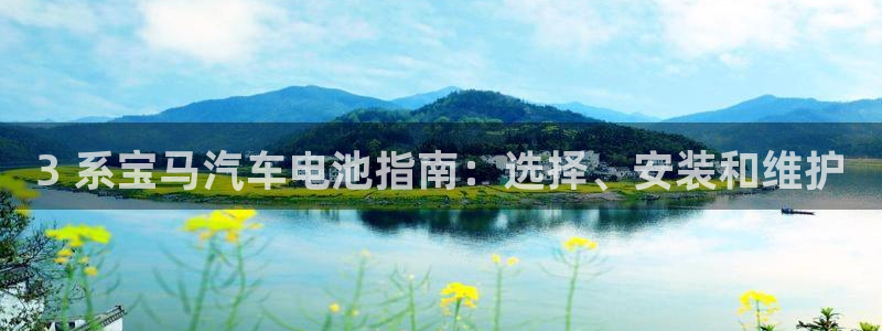 优发国际是合法的吗安全吗：3 系宝马汽车电池指南：选择、安装和维护