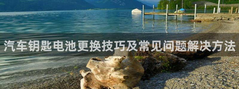 优发国际集团股份有限公司招聘：汽车钥匙电池更换技巧及常见问题解决方法