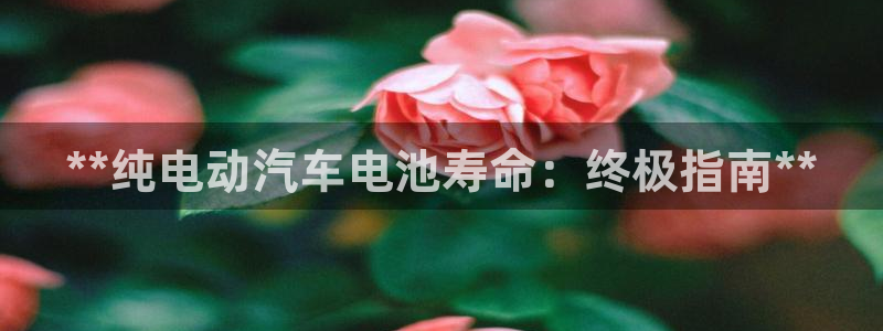 优发国际在哪里下载：**纯电动汽车电池寿命：终极指南**