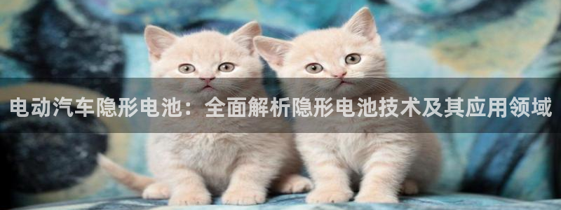 优发国际手机app下载安装：电动汽车隐形电池：全面解析隐形电池技术及其应用领域