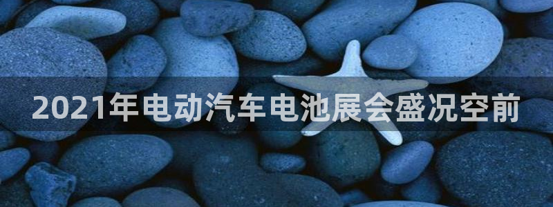 优发国际平台APP：2021年电动汽车电池展会盛况空前