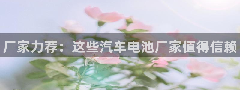 优发国际登录k8：厂家力荐：这些汽车电池厂家值得信赖